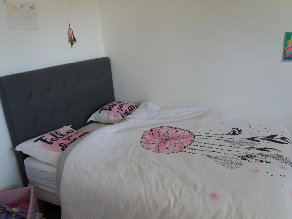 Chambres, Cuisine, Piscine, Spa, Billards, Airhockey, Nature Fillinges Kültér fotó