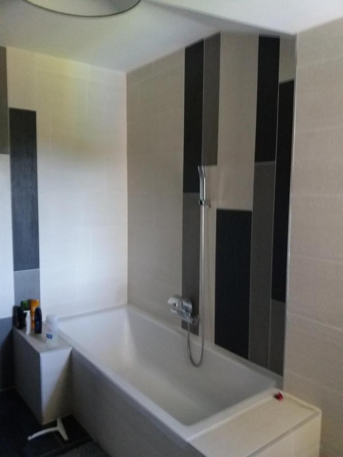Chambres, Cuisine, Piscine, Spa, Billards, Airhockey, Nature Fillinges Kültér fotó